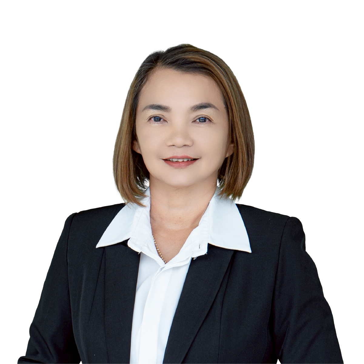 รูปที่ 1